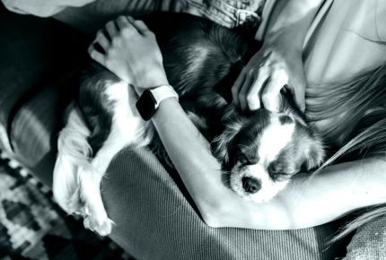 Voglio acquistare in sicurezza